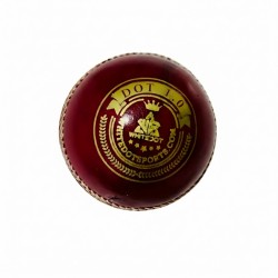 Whitedot Dot 1.0 Red Cricket Leather Ball - 20 Over