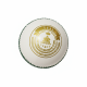 Whitedot Teal White Cricket Leather Ball - 10 Over Whitedot Teal White Cricket Leather Ball - 10 Over